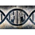 Monte Miller (Director, Forensic DNA Experts LLC) Monte Miller (Director, Forensic DNA Experts LLC)
