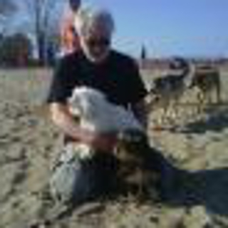 Gary M Hutter, Ph.D. P.E., C.S.P. Gary M Hutter, Ph.D. P.E., C.S.P.