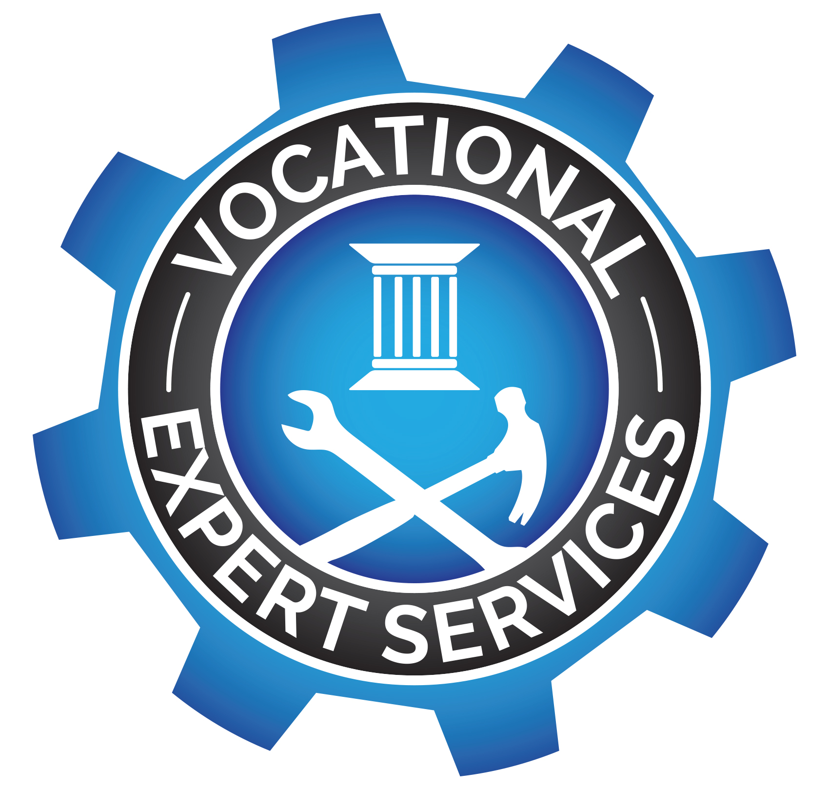 Vocational Expert Services