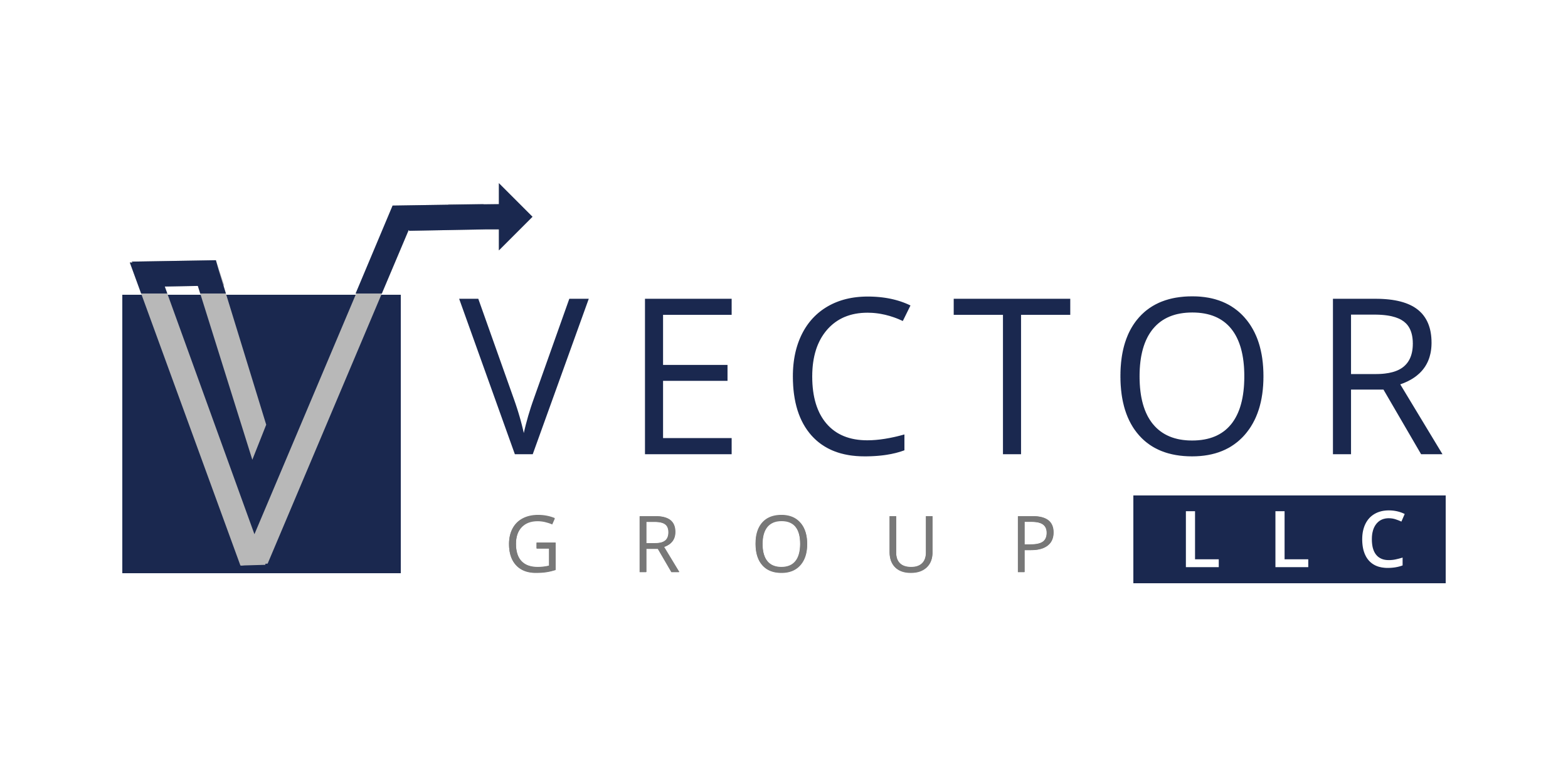 Vector Group LLC