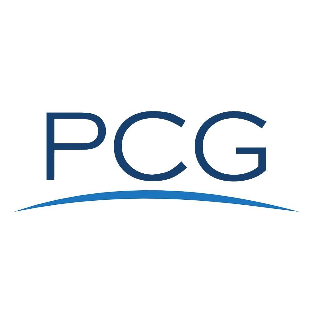 Multiple Software Expert Witnesses (Panorama Consulting Group)